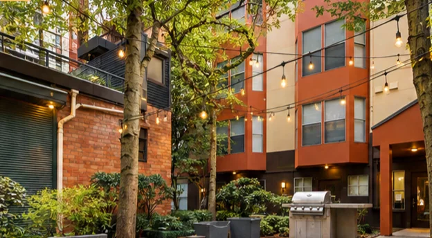 Interior courtyard with string lights and planting.